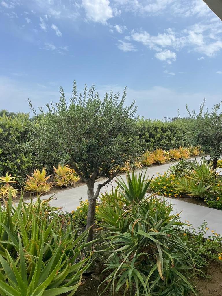 B&B Lo&G Lascari Bagian luar foto
